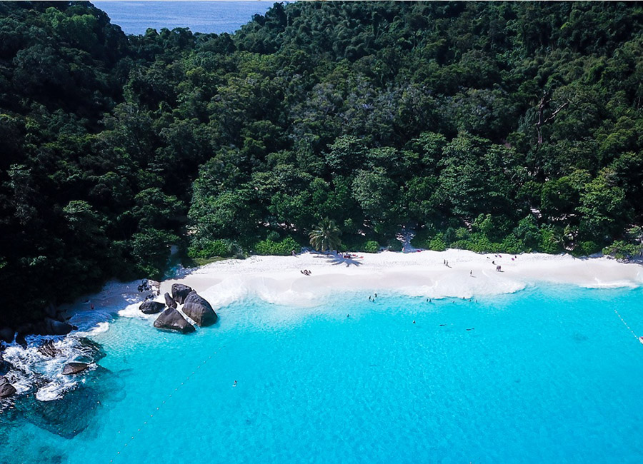 พังงา-ACTIVITIES-No3-ดำน้ำหมู่เกาะสิมิลัน Wow Andaman-4